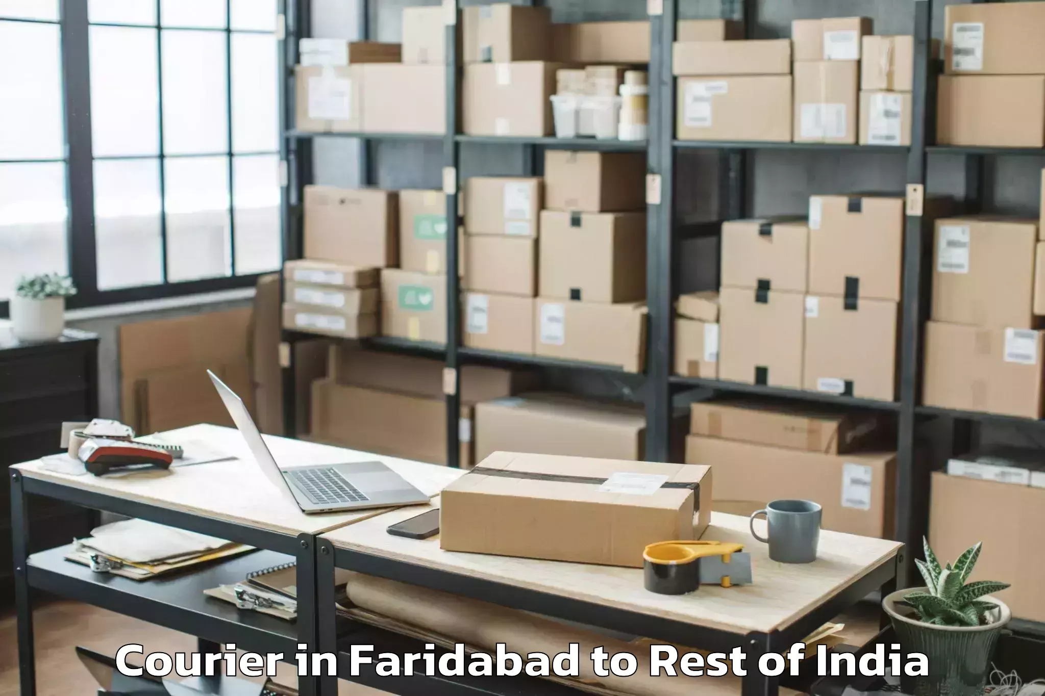 Easy Faridabad to Hunli Courier Booking